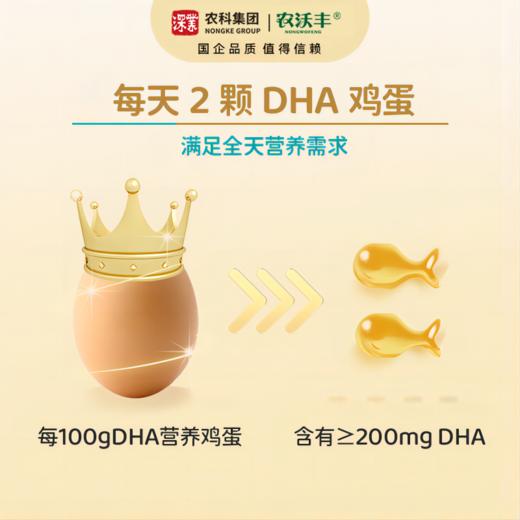 【农沃丰】DHA营养鸡蛋 商品图1