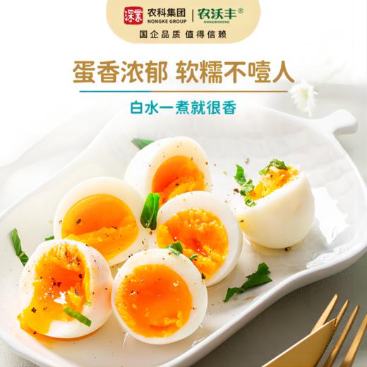 【农沃丰】DHA营养鸡蛋 商品图3