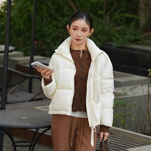 【特价不退换】【预售7天】良木礼短款立领羽绒服（D251102313） 商品图4