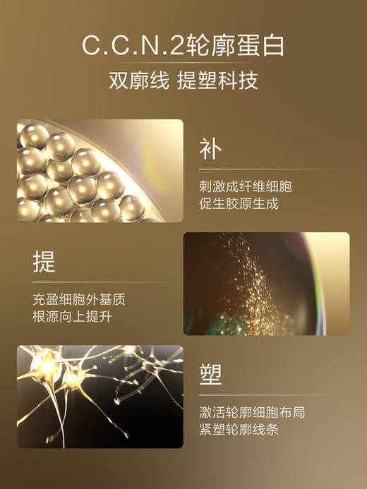 资生堂 【国际版/本土版】时光琉璃御藏臻采面霜 商品图3