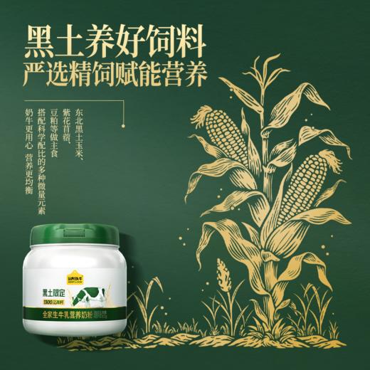 认养一头牛黑土吨吨全家营养奶粉800g*1罐 商品图2