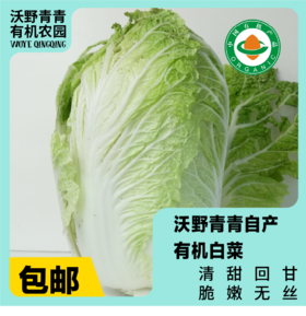 沃野青青自产有机白菜  4斤左右（约1-2个） 基地发货 顺丰包邮