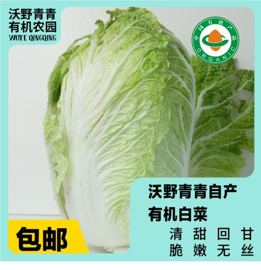 沃野青青自产有机白菜  4斤左右（约1-2个） 基地发货 顺丰包邮 商品图0