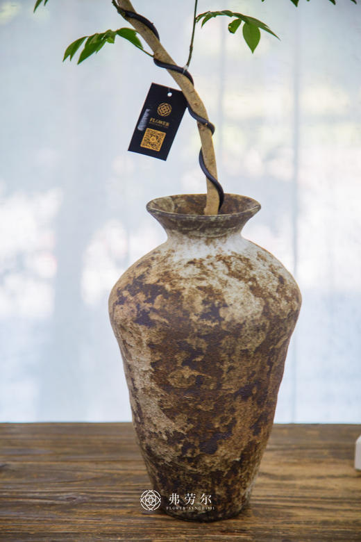 黄花梨 商品图2