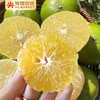 广东德庆有机皇帝柑含箱5斤装/10斤装大果（60-65mm） 商品缩略图0