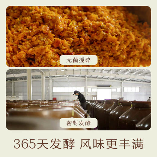 南食召 鲜椒黄辣酱 商品图3
