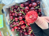 甜樱花2J车厘子2斤 商品缩略图3