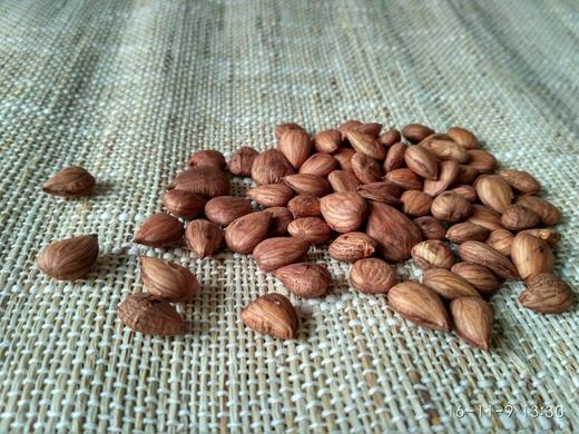 生态甜杏仁，人工去壳，味道浓郁 商品图5