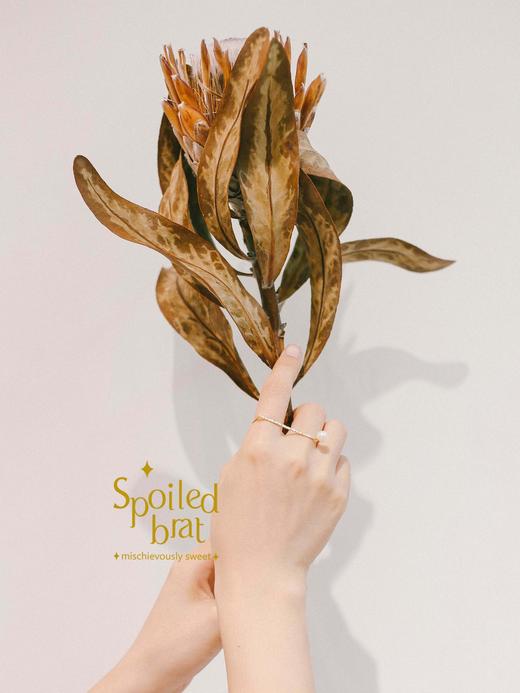 SpoiledBrat Jewelry时髦珍珠双指戒指 商品图4