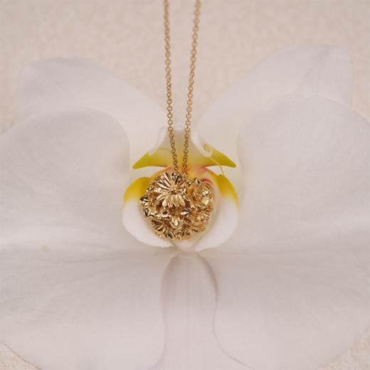 北京仓｜Agapee-Meli-金色 梅利 花朵 项链［法国设计师］ 商品图5