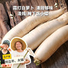 生态白萝卜（一件包邮，霜打白萝卜） | 绿家自产*ecological  white radish | Self-production 商品缩略图0