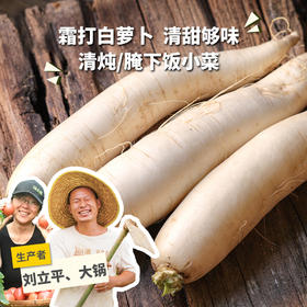 生态白萝卜（一件包邮，霜打白萝卜） | 绿家自产*ecological  white radish | Self-production