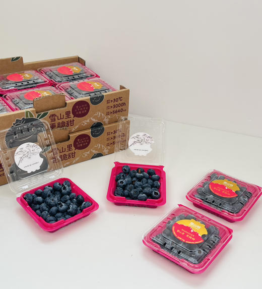 稼沃蓝莓🫐雪山甜蓝莓，好山好水 种出来的东西也是好的送礼，追求高品质，强烈推荐[强] 商品图3