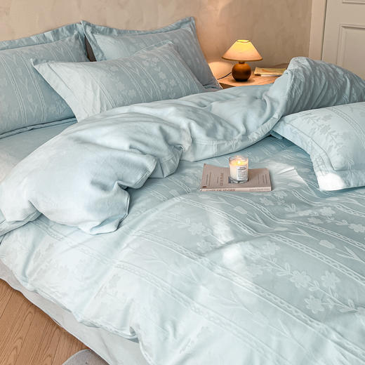 【换季出清】自然醒60支A版全棉加厚立体提花B版高克重牛奶绒四件套HS 商品图0