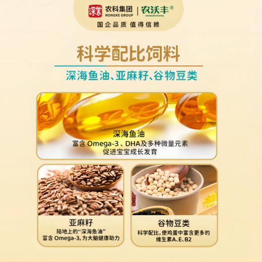 【农沃丰】DHA营养鸡蛋 商品图2
