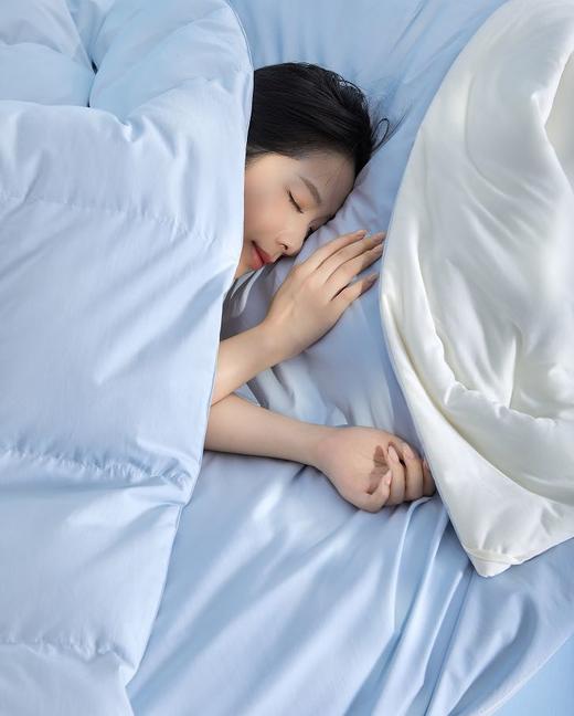 TTH鹅绒深睡控温被PRO 商品图4