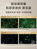 资生堂 【国际版/本土版】悦薇珀翡塑颜小针管眼霜20ml 商品缩略图3