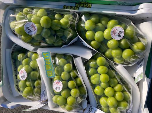 精品晴王葡萄一串 商品图1