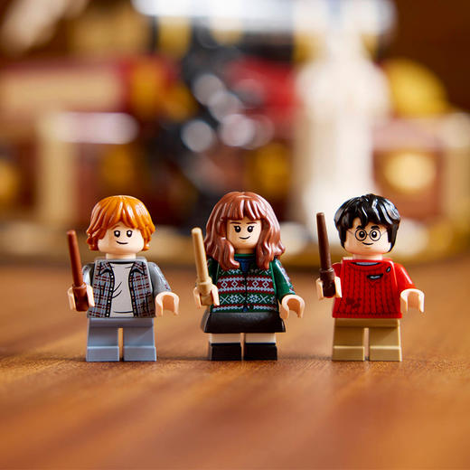 乐高LEGO 《哈利·波特与魔法石》电影 – 收藏版LEGC76466 商品图4