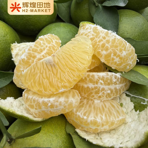 广东德庆有机皇帝柑含箱5斤装/10斤装大果（60-65mm） 商品图1