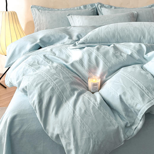 【换季出清】自然醒60支A版全棉加厚立体提花B版高克重牛奶绒四件套HS 商品图5