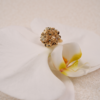 北京仓｜Agapee-Meli-金色 梅利 花朵 戒指［法国设计师］ 商品缩略图5