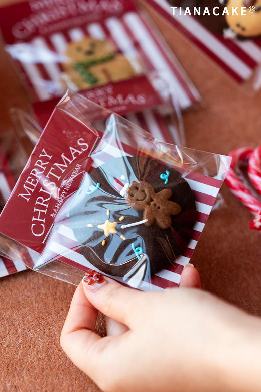 圣诞小屋惊喜礼盒 商品图7