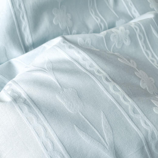 【换季出清】自然醒60支A版全棉加厚立体提花B版高克重牛奶绒四件套HS 商品图10