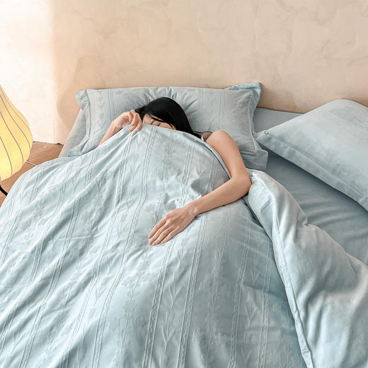 【换季出清】自然醒60支A版全棉加厚立体提花B版高克重牛奶绒四件套HS 商品图8