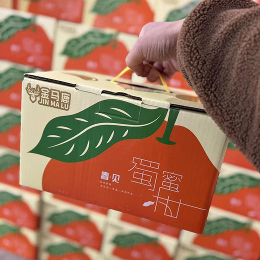 金马鹿「耙耙柑」散装 5个约1kg 商品图12