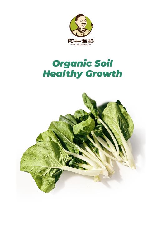 有机奶白菜 商品图0