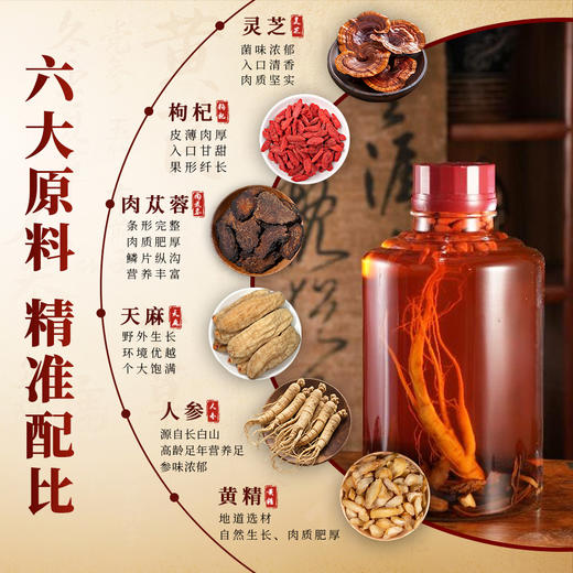 养生季节（灵芝人参酒）2.5L玻璃坛装，精美礼盒，精选灵芝 枸杞 黄精 肉苁蓉 天麻 人参6味国企原料，科学配比，充分侵泡 商品图1