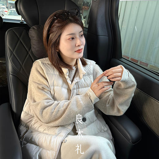 【特价不退换】【预售7天】良木礼羽绒马甲（D251103620） 商品图0