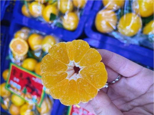 金马蜜桔一箱 商品图1