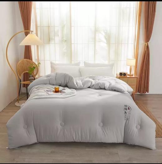 康康水洗原棉成人冬被200X230 商品图1