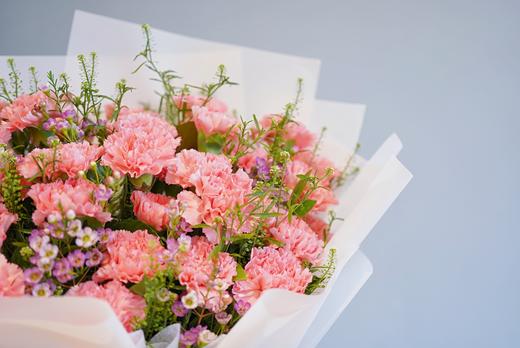 康乃馨 商品图1