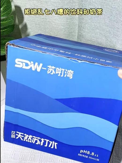苏打湾苏打水2箱 商品图0