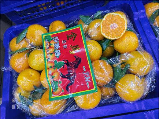 金马蜜桔一箱 商品图0