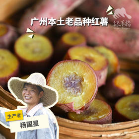 生态红薯（广州）| 合作生产* Ecological sweet potato | Coproduction