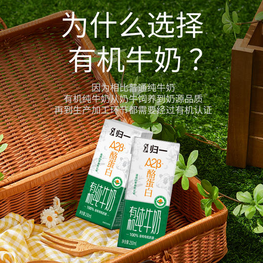 归一A2酪蛋白有机纯牛奶250ML*10瓶/箱*2 商品图1