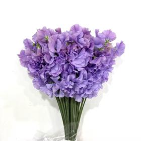 3月24日粉紫豌豆花-50支易损花材，联系客服拍照发货发出没有售后