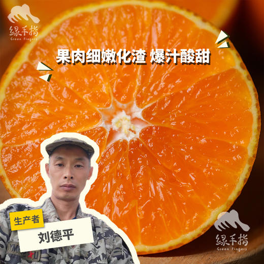 生态爱媛橙| 合作生产 *Ecological Aichi Orange| Partner Production 商品图0