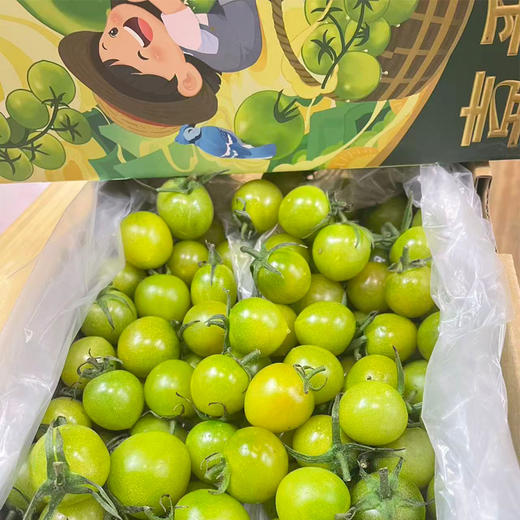 翡翠千禧圣女果 净重1kg/件 商品图0