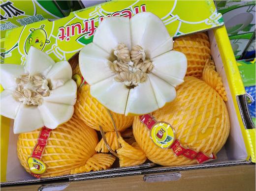 皇品蜜瓜一个 商品图0