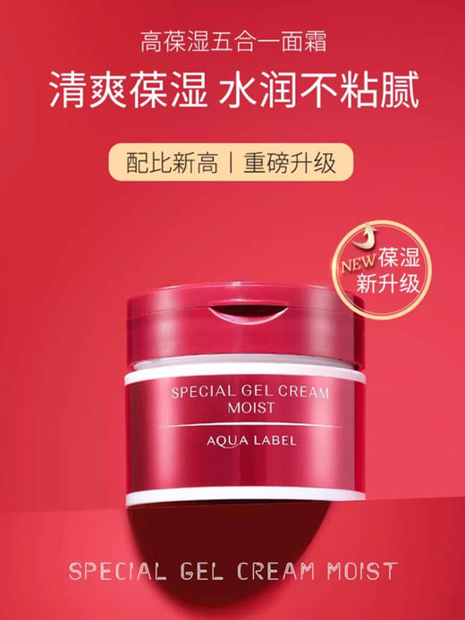 资生堂 【本土版】水之印弹力保湿五效合一面霜 商品图5