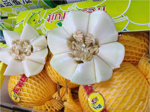皇品蜜瓜一个 商品图1