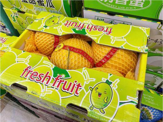 皇品蜜瓜一个 商品图2