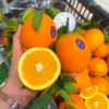 付氏脐橙 赣南脐橙 橙子 汁水多 商品缩略图5