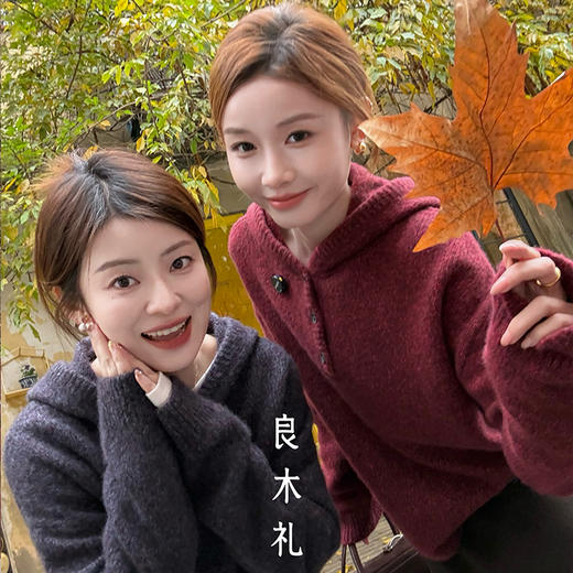 【预售7天】良木礼山羊绒连帽上衣（D251102232F） 商品图3