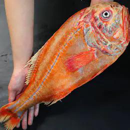 新西兰进口野生海产长寿鱼1500±100g 1800-1900g 近南极海域 商品图4